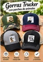 GORRAS RED TRUCKER APLIQUE ANIMALES 
