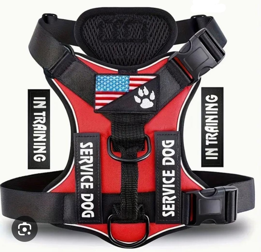 ARNES SERVICE DOG POLIESTER COLORES VARIOS CON ABROJO INTERCAMBIABLE TALLE S 25-5123