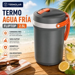 TERMOLAR 2.5L FLIPTOP GRIS OFERTA